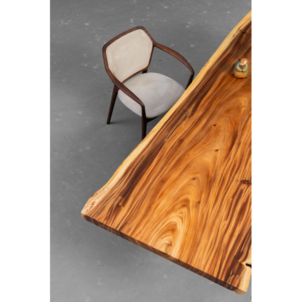 South American Solid Rainwood Slab | 2.4M