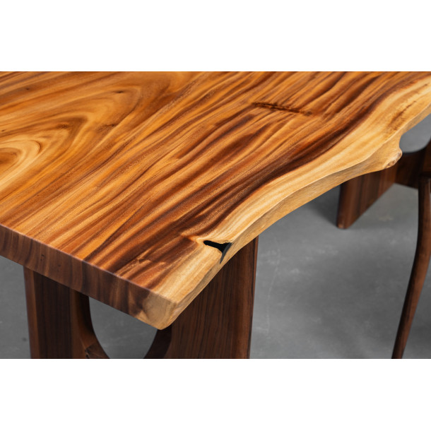 South American Solid Rainwood Slab | 2.4M
